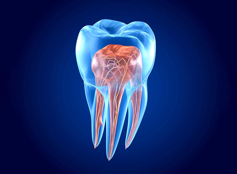endodonzia-devitalizzazione-denti-roma